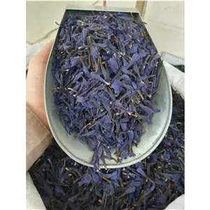گل گاو زبان 50 گرم 