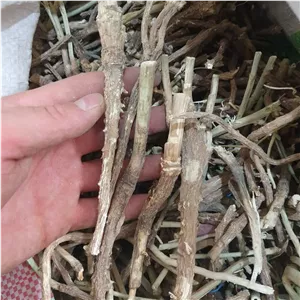 ریشه کاسنی 500 گرم 