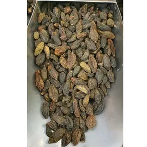 هلیله سیاه 50 گرم 