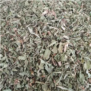 برگ کاسنی  500 گرم 