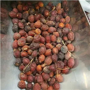 میوه نسترن 500 گرم 