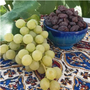 مویز قرمز هسته دار دشمن زیاری دیم