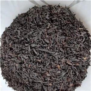 چای لاهیجان ارگانیک و طبیعی