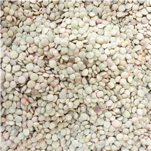 عدس ایرانی ( 1 کیلوگرم ) درجه 1 