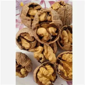 گردو پوست کاغذی درجه یک (1 کیلویی)