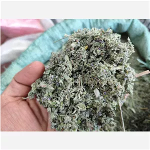 پونه کوهی اصل چهار محال و بختیاری پونه محلی