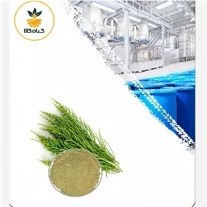 عصاره دم اسب خشک (پودری) صدردصد خالص 100 گرم گرید A+