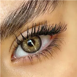 لنز سلنا کمل عسلی دور مشکی