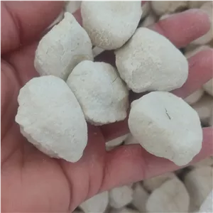 کشک گوسفندی 100 گرمی ارسال رایگان