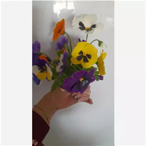 گل های بنفشه در رنگهای مختلف پک 7 شاخه