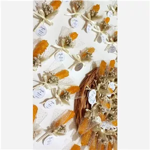 گیفت شاخه نبات