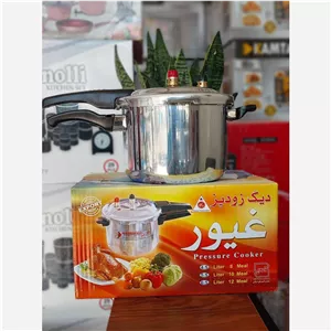 دیگ زودپز تک دسته غیور 8لیتر 