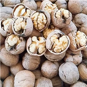 گردو خشک امساله تویسرکان