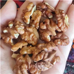 مغز گردو خورشتی ایرانی پرچرب امساله 750 گرمی داهمان