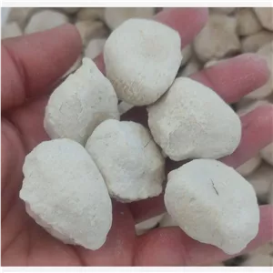 کشک گاوی سفید 1 کیلویی