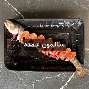 ماهی سالمون عمده (20 کیلویی)