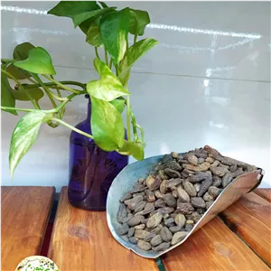 هلیله سیاه (250گرمی) درجه یک 