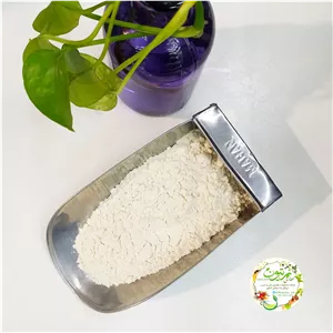 پودر ثعلب (250گرمی) بستنی و دسر خوشمزه 