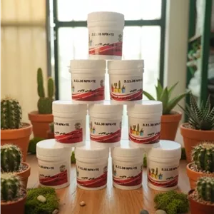 کود 31138مناسب کاکتوس و خانواده گوشتی ساکولنت ها 