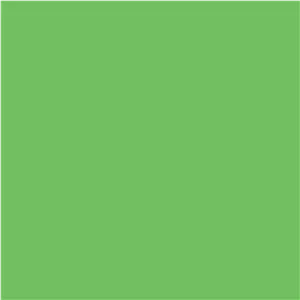 فون کاغذی Savage Widetone Seamless #46 Tech Green