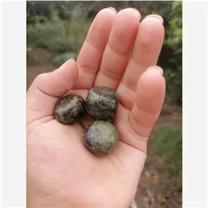 سنگ طبیعی خون اژدها برند هارانا 