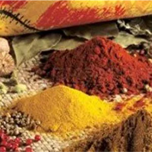 خرید و قیمت پودر خردل در وزن دلخواه