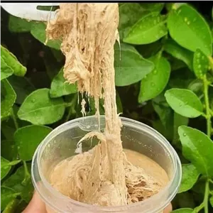 حلوا ارده کشی سنتی شوشتر 