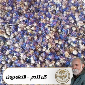 گل گندم(قنطوریون) - 100 گرمی