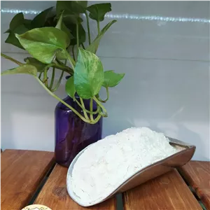 پودر سیر و اسلایس سیر اعلا (250گرمی)