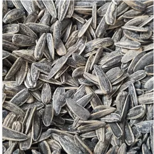 تخمه آفتابگردان  نمکی  تازه و خوشمزه 500 گرمی تولید امسال