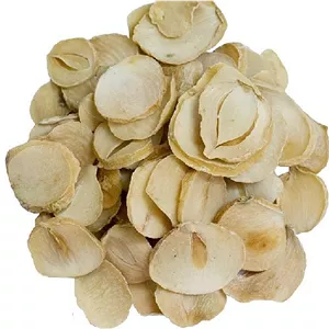 موسیر قاشقی خشک