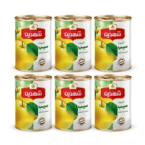 کمپوت سیب شهدین - 370 گرم بسته 6 عددی