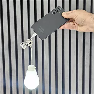 لامپ ال ای دی USB USB-C مدل Two In One FJ9