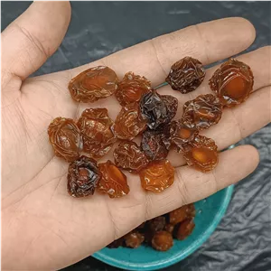 آلوچه اناری ترش ملس مخصوص ترشک 1404(یک کیلو) 