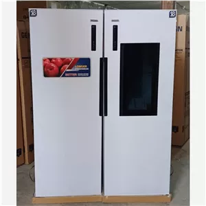 یخچال دوقلو دورین دور
