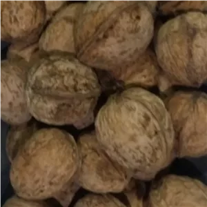 گردو درهمی یک کیلویی 