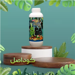  کود مایع شوک کود جلبک دریایی شوک 1 لیتری