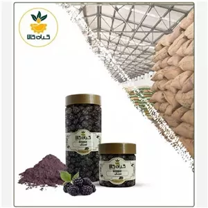 میوه تمشک با کیفیت عالی، بار امسالی و تازه(1کیلوگرم) و منتخب