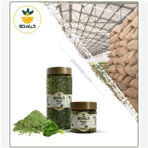 گیاه اسفناج پودر شده، بار امسالی و تازه(500گرمی ) (درجه یک )