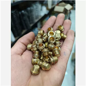 ژیگلور خوراک پز پیک نیکی 