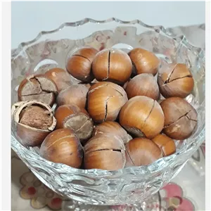 فندوق شکسته خشک و بینمک(متوسط)