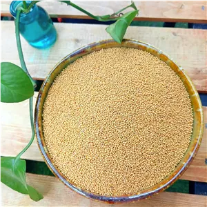 دانه و پودر خردل (یک سیر)