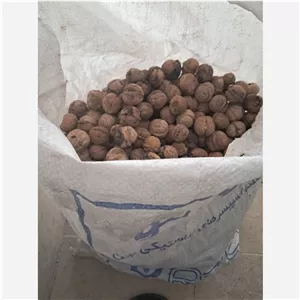 گردو خارجی