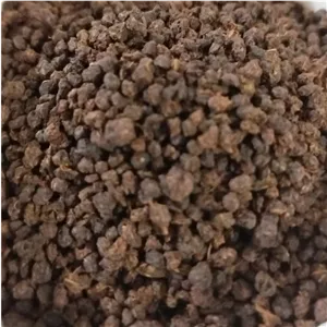 چایی کله مورچه 