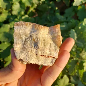 سنگ راف آراگونیت عسلی طبیعی