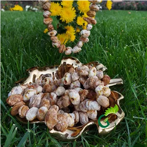جوزقند انجیر گل بانو، ( بسته 200گرمی)