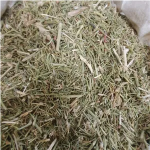 خارشتر یک کیلو (ارسال از قم) 