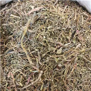 برگ خرفه خشک 500 گرم (ارسال از قم) 