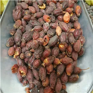 میوه نسترن 500 گرم (ارسال از قم) 