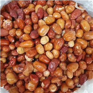 میوه سنجد 200 گرم 